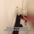 Quand on essaye de capturer une araignée !