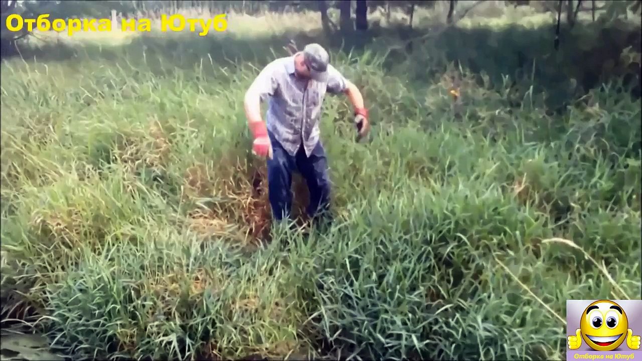 ЛУЧШИЕ ПРИКОЛЫ 2017 Лучшая Подборка Приколов #1