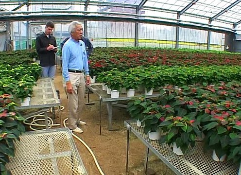 Другая жизнь. Япония. Иная цивилизация. 01 [2002, DVDRip]