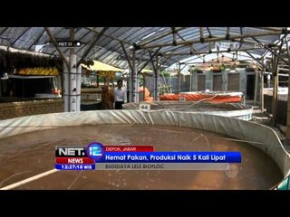 NET12 - Budidaya Ikan Dengan Biofloc