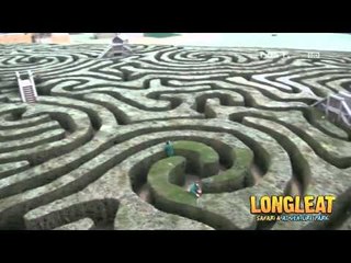 NET12 - Berbagai Bentuk Taman Labirin di Dunia