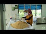 NET12 - Produksi Tempe di Rumah Tempe Indonesia yang Higienis dan Ramah Lingkungan