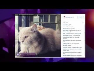 Anisa Rahma Membuat Instagram Untuk Kucingnya