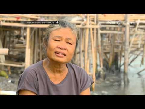 IMS - Profesi Pagi pengumpul kerang cilincing