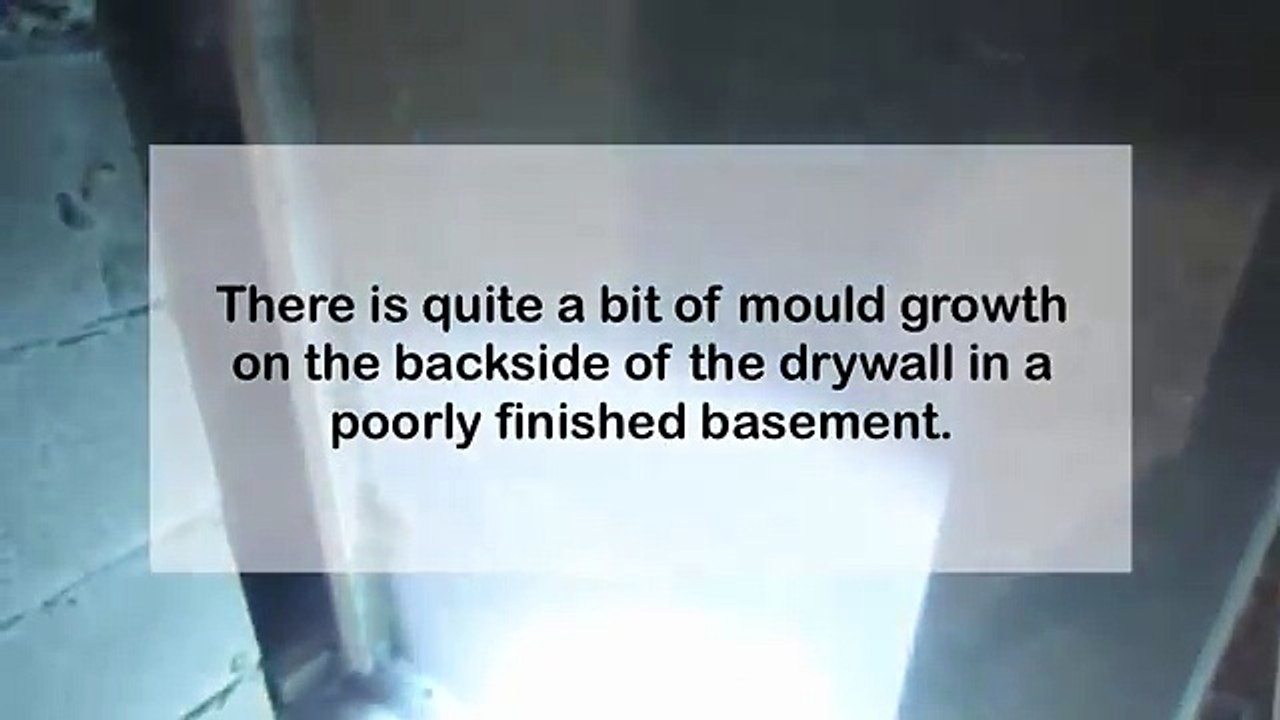 Extensive Mould - Above Grade Home Inspections