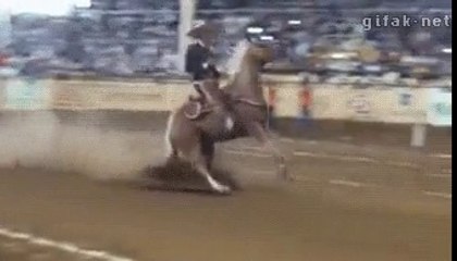 at müthiş fren yaptı