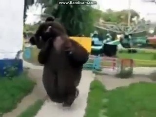 Прикол;карлик в костюме медведя