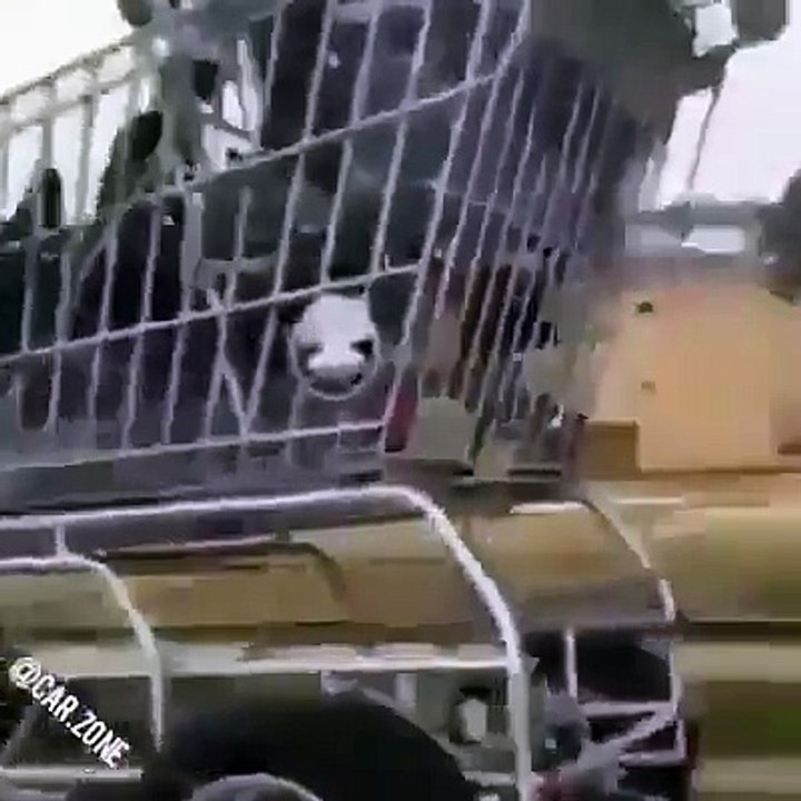 Who needs to go shopping?!?!