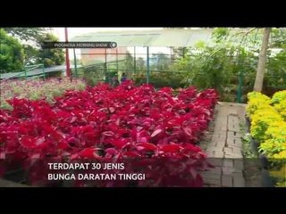 Agrowisata alam Pasuruan tawarkan wawasan tentang pertanian dan peternakan - IMS