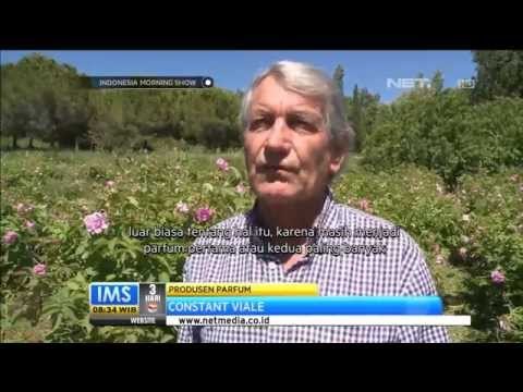 Desa produsen parfum Perancis - IMS