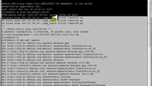 Curso DDoS 05 - Instalando as ferramentas necessárias ao ataque DoS