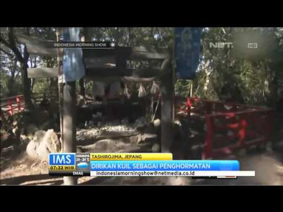 Wisata Pulau Kucing - IMS