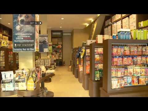 Penitipan Hewan Jelang Lebaran - NET24