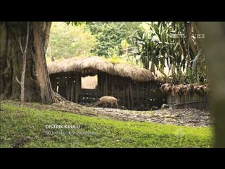 Festival Lembah Baliem di Wamena Papua - NET17