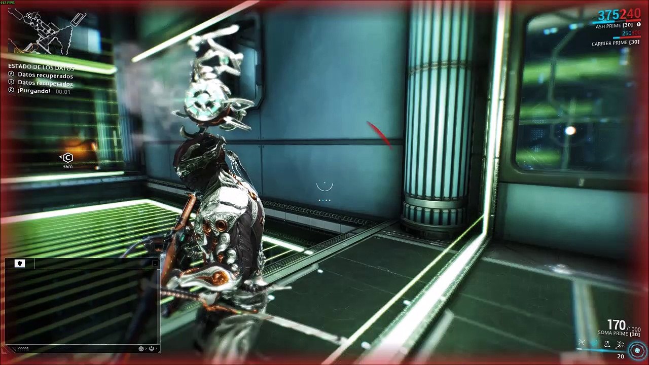 wf bug