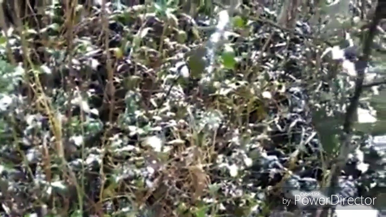 du lịch sapa