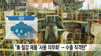 '트럼프 쇼크'...자동차 '비'·의약품 '맑음' / YTN (Yes! Top News)