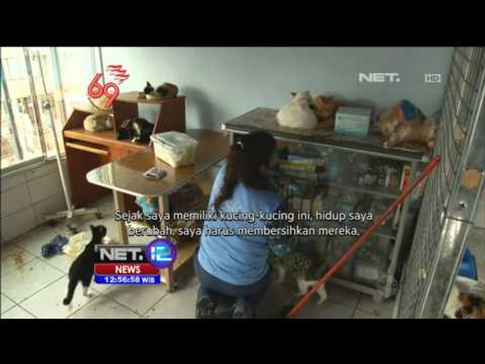 Seorang Penyayang Binatang Ubah Rumahnya untuk Tempat Perawatan 175 Ekor Kucing -NET12
