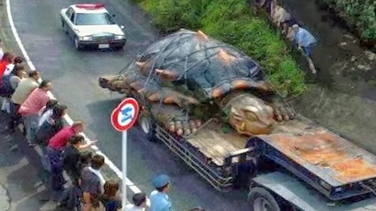 100 Weird Photos That Cannot Be Explained