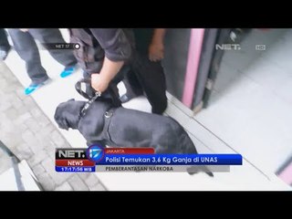 UNAS jadi sarang peredaran Ganja - NET17