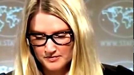 Как иностранные журналисты разносят  Госдеп США! Мэтт красавчик!