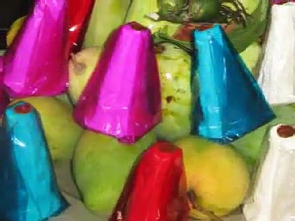 Tân Hồng Thái Du lịch Ninh Bình Thanh Hoá Sầm Sơn 2011
