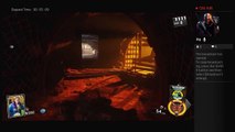 Call of duty infinte warfare zombies redwoods (174)