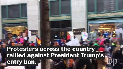 Protesters across the country rally against Trump's entry ban