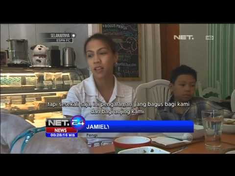 Restoran untuk anjing - NET24