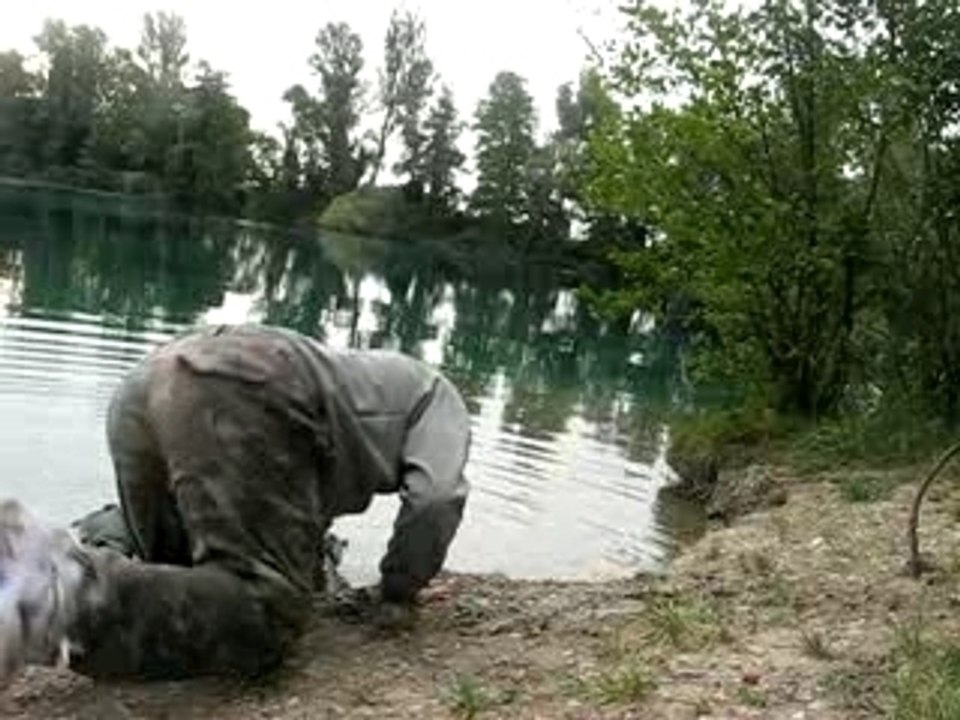 No kill, peche a la carpe