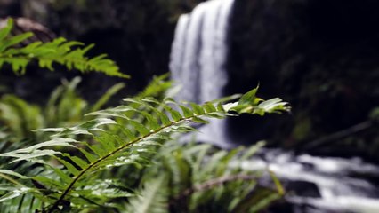 Kidswaste - More Colors (feat. Chelsea Cutler) (Music Video)-WRb3Vfgg74Q