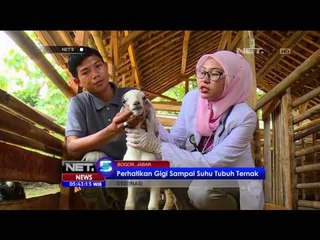 Destinasi Hewan Kurban Sesuai Syariat Islam - NET5