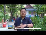 Live Report Indahnya Taman di Surabaya dan Bandung -IMS
