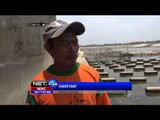 Berkah Kemarau Bagi Warga Bojonegoro yang Berhasil Panen Ikan -NET24