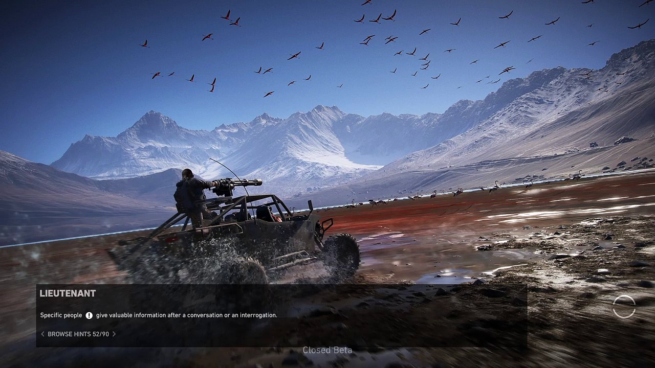 The flying nub: Nubs perspective