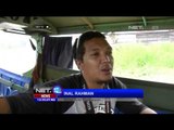 Pelestarian Hewan Pesut Mahakam di Kalimantan - NET12