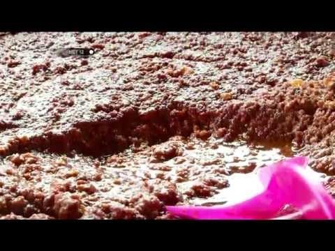 Petualangan Kuliner, Beraneka Ragam Gudeg di Yogyakarta - NET12