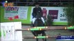 Salon des Etalons de Sports - Jumping International de Bordeaux 2017 (05/02/2017)