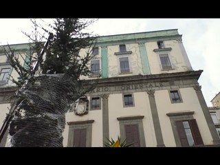 Napoli - Ritorna il "Cedro" in piazzetta Giusso (04.02.17)