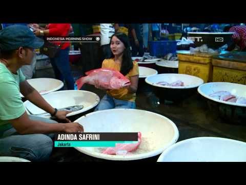 Wisata ke Pasar Ikan Muara Angke -IMS