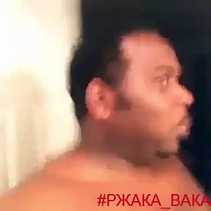 Как поет собакаVine