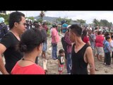 Seekor lumba lumba terdampar di Pantai Padang - NET5