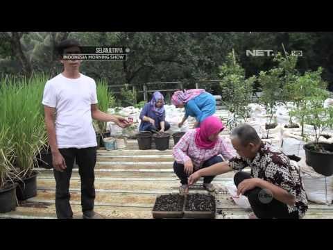Cinta Bumi Menanam Padi Dengan Ember - NET5