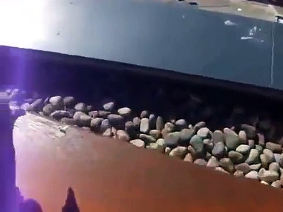 Кто насрал на балкон