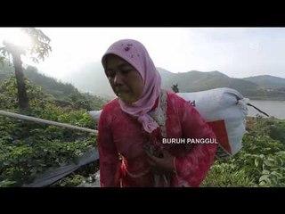 Spirit of Sunrise dari Dieng -IMS