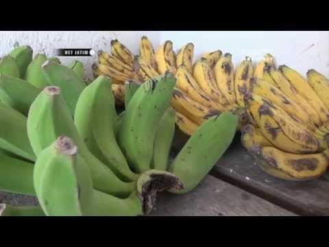 Kuliner Tradisional Pisang Ledre di Bojonegoro - NETJATIM