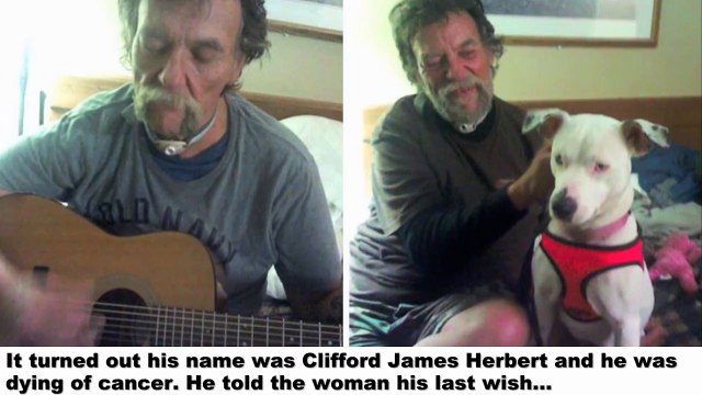 Woman Finds A Dying Homeless Man Curled Up With His Dog — Then He Tells Her His Last Wish