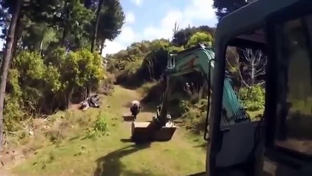 Ржака 2015. Ржака до слез. Ржачь 2015