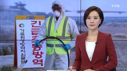 철새 대처 역발상으로 AI 확산 차단 노력 / YTN (Yes! Top News)