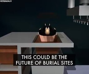 Could this be the new alternative for traditional burials